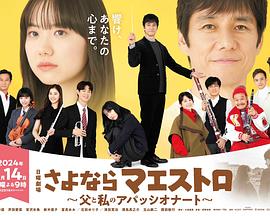 再见了指挥大师 父亲与我的热情封面图