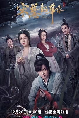 宋慈韶华录封面图