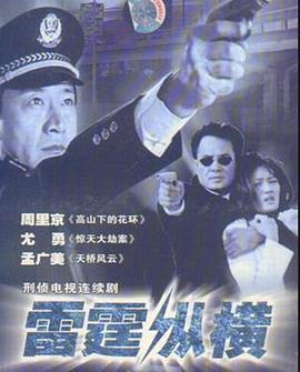 雷霆纵横封面图