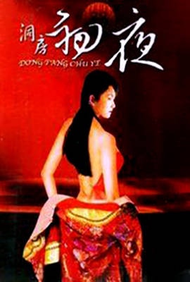初夜洞房档案封面图