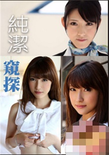 纯洁窥探封面图