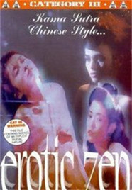 迷情禅宗封面图