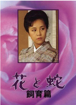 花与蛇 飼育篇封面图