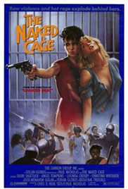 拍档俏冤家封面图