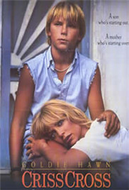 十字交锋封面图