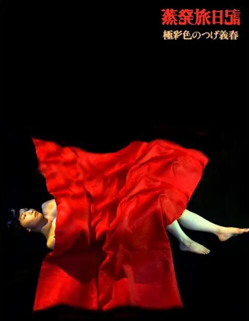 蒸发旅日记封面图