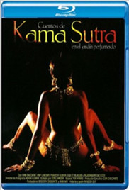 欲望和智慧封面图