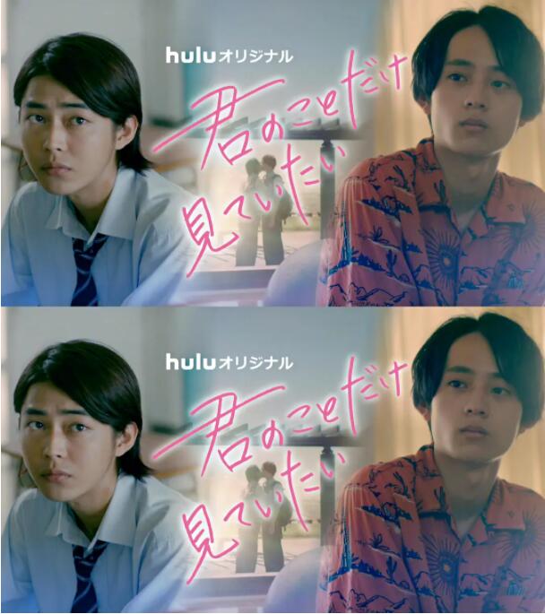 只想看着你封面图