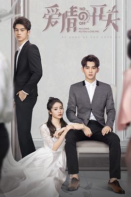 爱情的开关海报图片