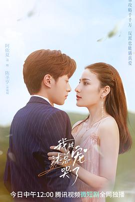 我被沐总宠哭了海报图片