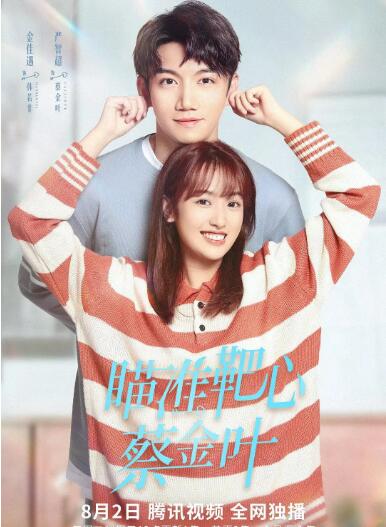 瞄准靶心！蔡金叶海报图片