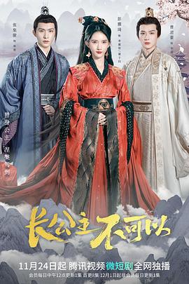 长公主不可以海报图片
