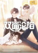 双面沦陷封面图