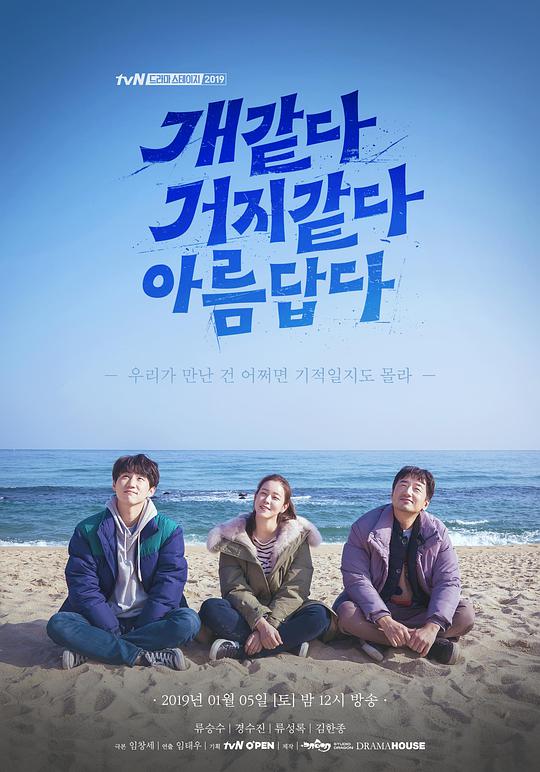 像狗像乞丐一样美丽封面图