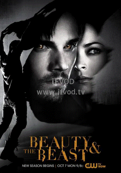 侠胆雄狮 第二季封面图