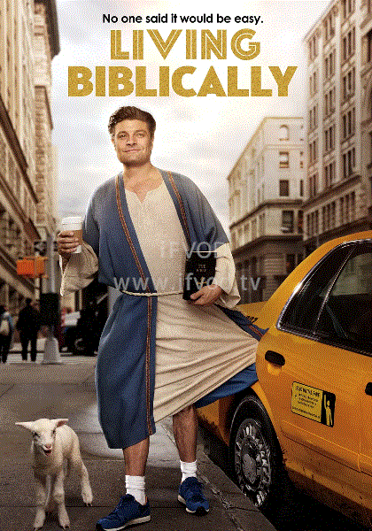 圣经狂想曲海报图片