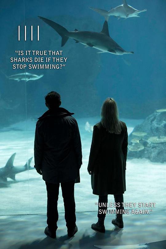 桥 第四季封面图