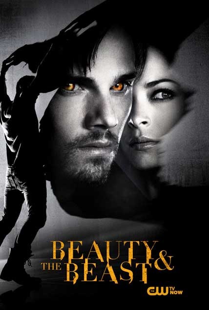 侠胆雄狮 第四季封面图