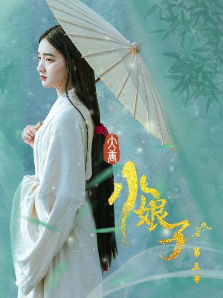 大唐小娘子第三季封面图