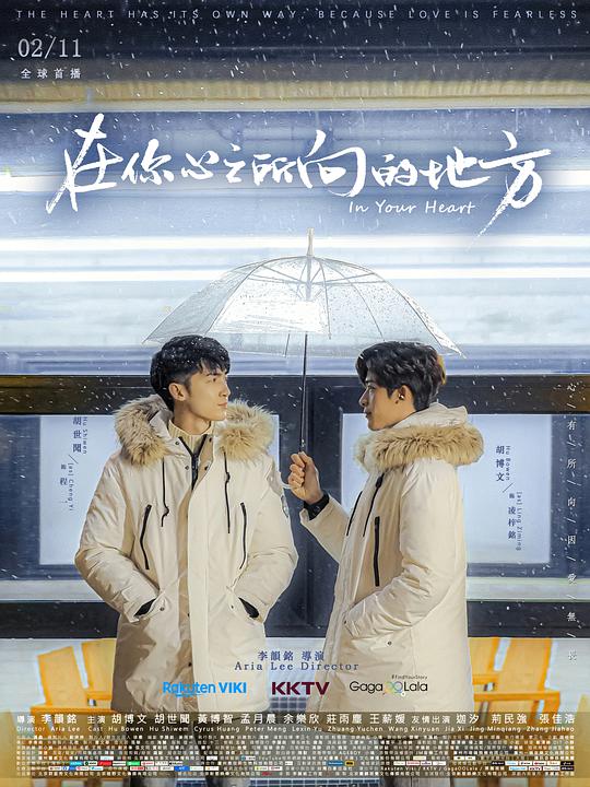 在你心之所向的地方封面图