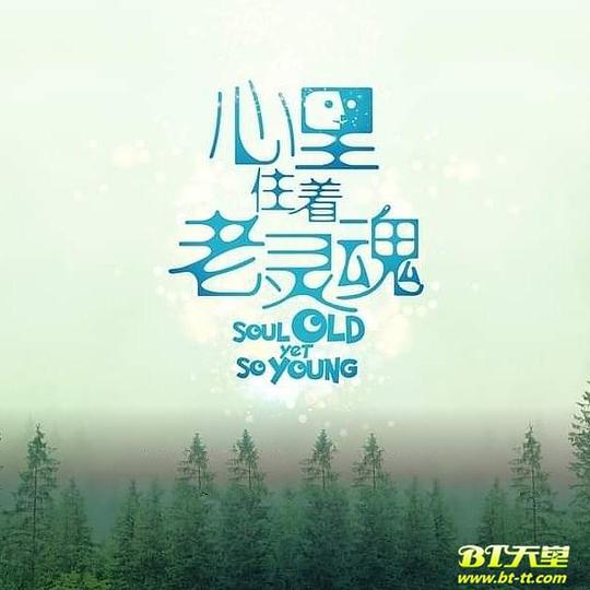 心里住着老灵魂封面图