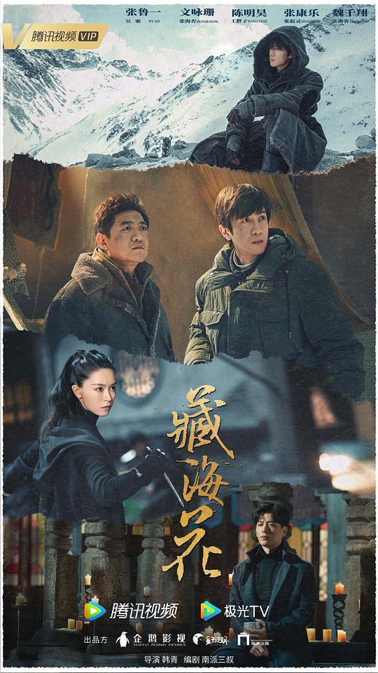 藏海花海报图片