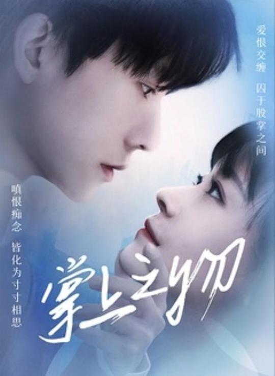 掌上之物海报图片