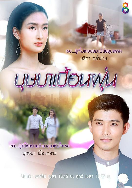 花开花落不寂寞封面图