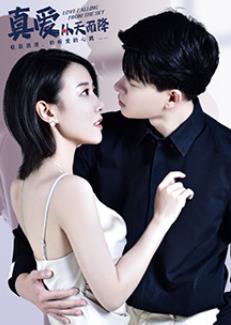 真爱从天而降封面图