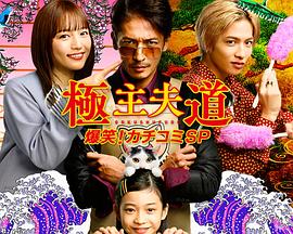 极主夫道 爆笑！找碴封面图