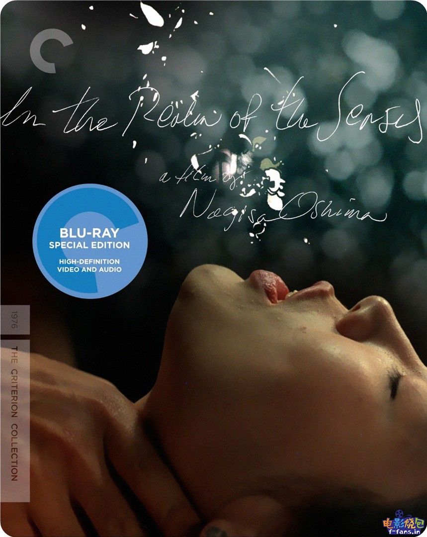 感官世界封面图