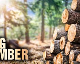 终极伐木达人第二季封面图