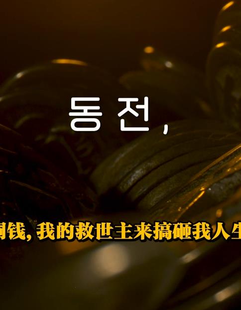 洪金铜钱封面图