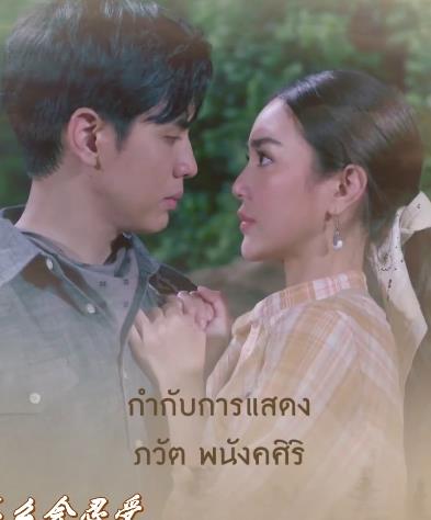 天地挚爱封面图