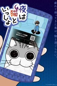 今晚有猫伴身边封面图