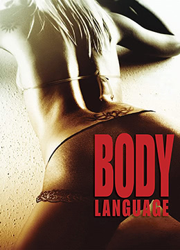 美女与骑士封面图