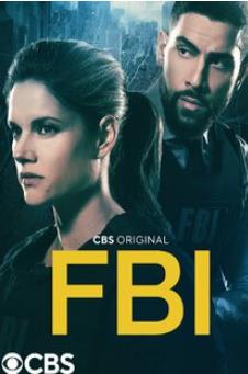 联邦调查局第五季封面图