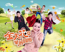 金大花的华丽冒险封面图