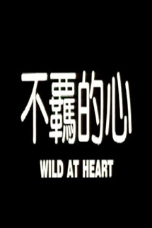 不羁的心封面图