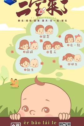 二宝来了封面图