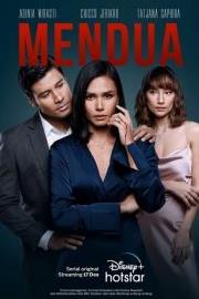 双宿单飞第一季封面图