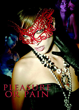 神风敢死队的爱封面图