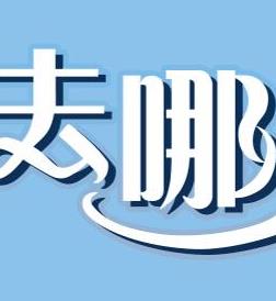 小姐姐去哪儿封面图