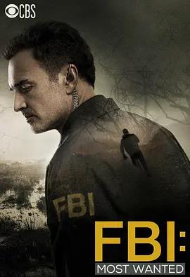 联邦调查局：通缉要犯第一季封面图