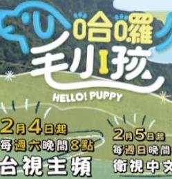 哈啰！毛小孩封面图