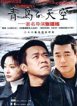 青鸟的天空封面图