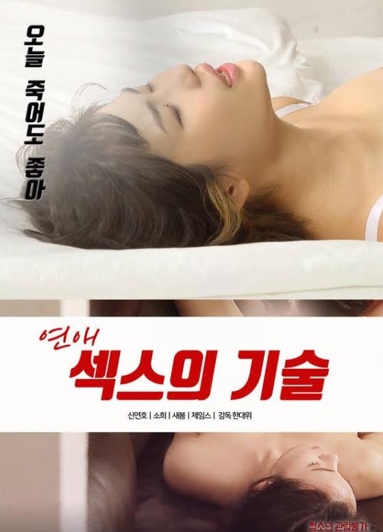 恋爱：性技巧封面图