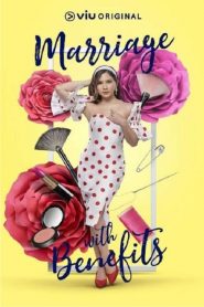 假扮夫妻第一季封面图