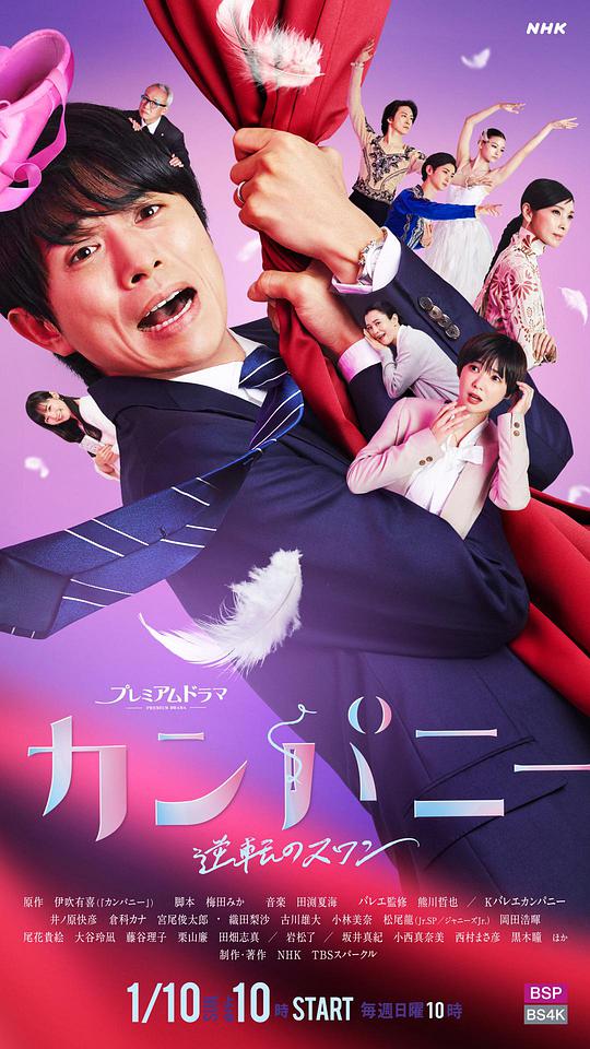 Company~逆转的天鹅湖~封面图