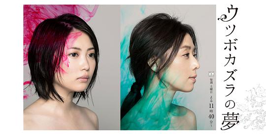 猪笼草之梦封面图